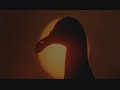 Jonathan Livingston Seagull - The Odyssey Jonathan Livingston Seagull - The Odyssey