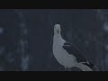 Jonathan Livingston Seagull - The Odyssey - Thumb #3