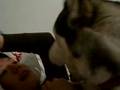 Kaiser begging for a treat from Unibeee