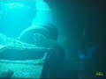 planeta-agua-buceo-en-thistlegorm-ii-mar-rojo-red-sea-.html