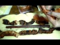 Click here to watch this video Epic Bratdog | Epic Meal Time tribute | Nilla Broz