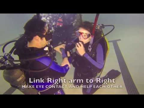 scuba diving - After you Finish your Academic Scuba Training, We are going to try Some skills that every diver needs to be able to do. After your Certification, Come with u...