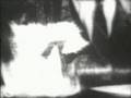 Dementia 13 Trailer