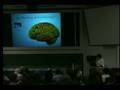 Richard O. Brown: The Neuroscience of Nothing