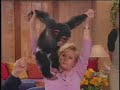 Monkey + diane sawyer = fun!!
