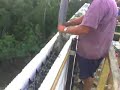 ICF Construction