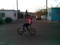 videos de aranca pa tras