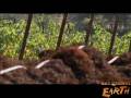 videos de Greener Vineyards