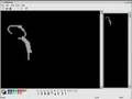 Ansi-Is-Dead-Blocktr
