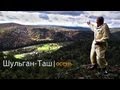 Видео - Бортевое и колодное пчеловодство (за кадром 2)