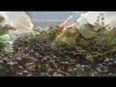 Reel 07/08 Reel 07/08