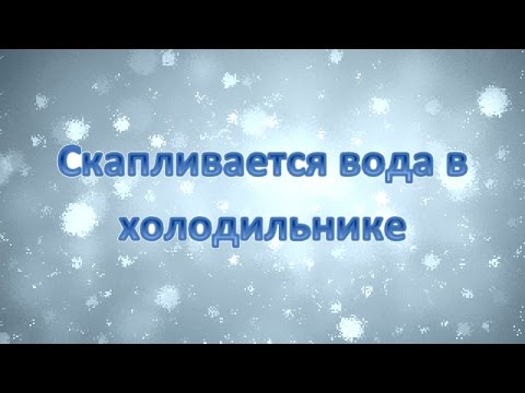 Почему в холодильнике скапливается конденсат Почему в холодильнике скапливается конденсат