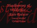 Headhunterz & Wildstylez - Rate Reducer Headhunterz & Wildstylez - Rate Reducer