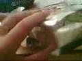 how to make a car part 5/7