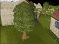 Runescape Updated World 2 Section Guide