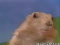 the most dramatic moment ever caught on film