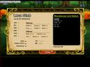 DragonFable level 40