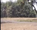 Rajd Orlen Pierwszy Dzien-Rally of poland