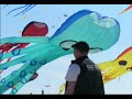 Festival de Cerfs-volants Berck sur Mer 2007 - Pieuvres