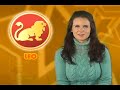 Leo Horoscope November 21, 2008 Leo Horoscope November 21, 2008