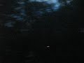 Favorite crosssing at night