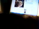 Jean-Claude watching You Tube again