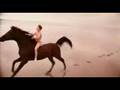I Am - Horses