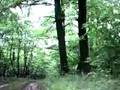 videos de MTB überschlag!