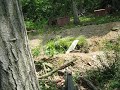 C3 Airsoft @ Linglestown Paintball 7-5-08