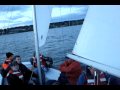 Sailing Dolphin Too