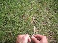 Instructions on how to braid