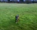 Finlay goes for a run