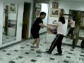 Wing Chun Gor Sau. Jean.. 25Jan08\
