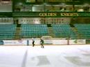 skating in cheel