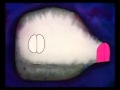 134538174780 13740