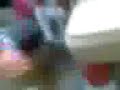 secundaria 5 irapuato secundaria 5 irapuato