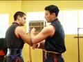 Beginning Wing Tsun Techniques : Wing Tsun Chain Punch