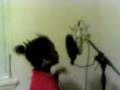 The Best Rapper EVER!!!!!!!!!!!!!!!! Gooi