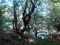 riofrio en invierno y en verano.wmv