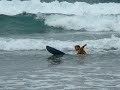 T�tards 2008 : les videos Surf