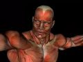 MuscleDance Skinless Muscleman Dances for you MuscleDance Skinless Muscleman Dances for you