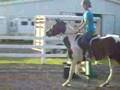 videos de Acasia