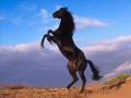 videos de Track 2.wmv