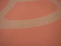 QUIMERAA um primeiro olhar, é difícil ou improvável pensar que a experiência de imersão promovida por Quimera no espaço expositivo da Virgílio possa ter sido gerada a partir de uma situação relativamente tensa, de um impasse que Alice Shintani experimenta em sua produção. Ou, mais especificamente, na relação com sua produção a partir das demandas -- expositivas, institucionais, de mercado, etc. - a que esta começa a ter que responder. Nada muito extraordinário na trajetória de uma jovem artista, mas que o alto grau de rigor de Alice para com o próprio trabalho impõe uma série de reflexões mais cuidadas. E nesse sentido o título pode ser de certa forma emblemático -- embora não explicativo - das pulsões que alimentaram essa mostra.Realizada -- quase 