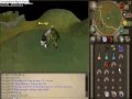 videos de barrows guide by fire light99