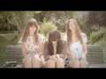 Au Revoir Simone Dark Halls Music Video