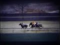 Bold Reasoning - 1971 Withers Stakes Bold Reasoning - 1971 Withers Stakes