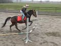 Vonkje\ Vonkje\