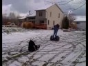 Segway wreck in snow Segway wreck in snow