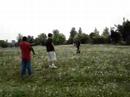 Dandilion Wars